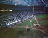 yankee.jpg (35996 bytes)